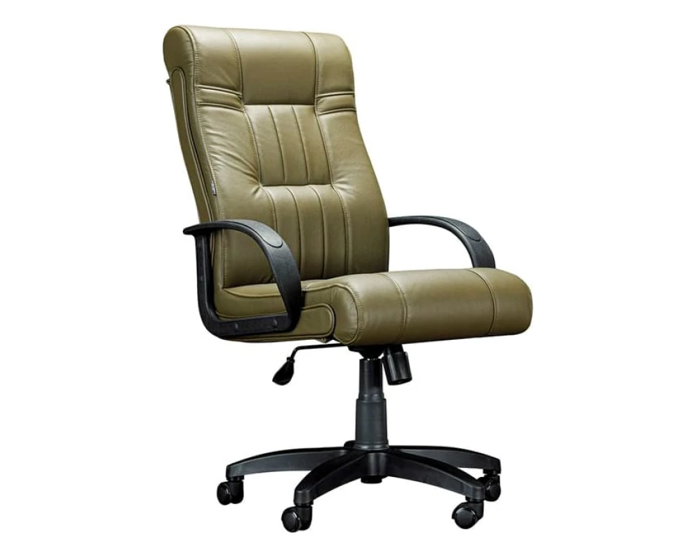 Кресло руководителя Дали DB-700M пластик