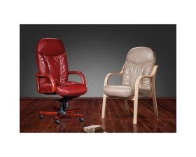 Кресло руководителя Ренуар DB-800 images