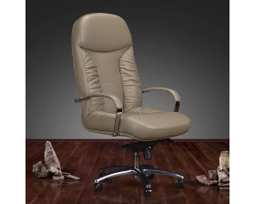 Кресло руководителя Ренуар (хром) images