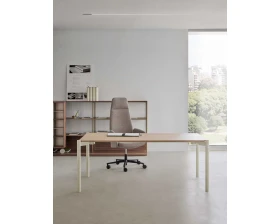 Кабинет руководителя Terra (of) images