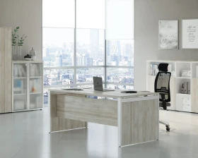 Кабинет руководителя Тесс / Tess images