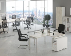 Кабинет руководителя Тесс / Tess images