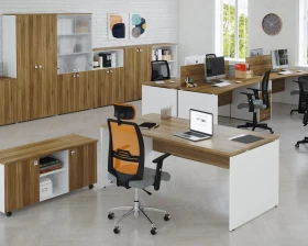 Кабинет руководителя Тесс / Tess images