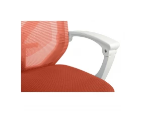 Кресло RV DESIGN Oliver (W-203AC) images