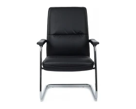 Кресло RV ДИЗАЙН Грант-СФ / Grant-SF (D885 / D885C) images