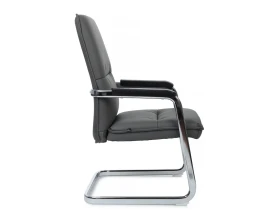 Кресло RV ДИЗАЙН Грант-СФ / Grant-SF (D885 / D885C) images