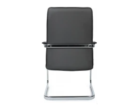 Кресло RV ДИЗАЙН Грант-СФ / Grant-SF (D885 / D885C) images