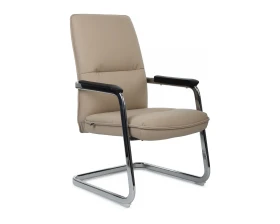 Кресло RV ДИЗАЙН Грант-СФ / Grant-SF (D885 / D885C) images