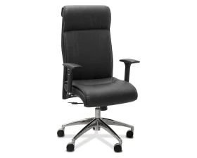 Кресло Dark подлокотники 3D images