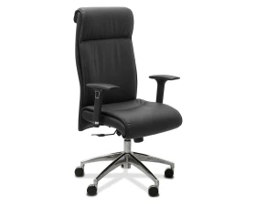 Кресло Dark подлокотники 3D images