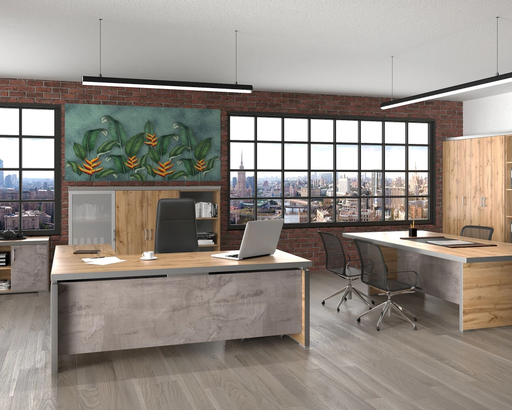 Кабинет руководителя Турин