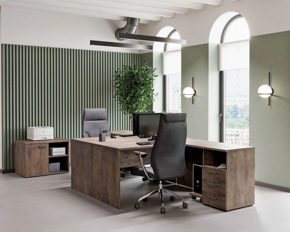 Кабинет руководителя Лемо / Lemo