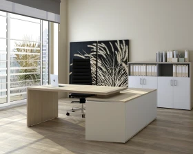 Кабинет руководителя Норман / Norman images