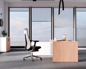 Кабинет руководителя Норман / Norman images