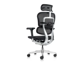 Кресло руководителя Ergohuman Elite 2 HAM Сетка, Черный images