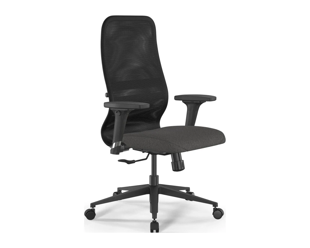 Кресло ErgoLife SynchroSit 8 B2-9D M20.B11.G19.W02 Сетка/Ткань, Черный/Темно-серый