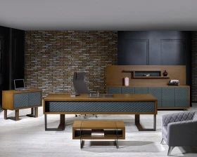 Кабинет руководителя Аланья images