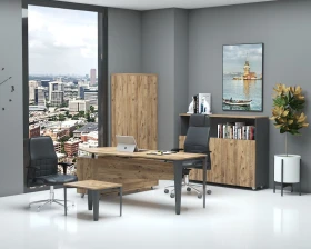 Кабинет руководителя Гиза руководитель images