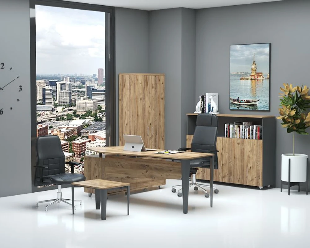 Кабинет руководителя Гиза руководитель