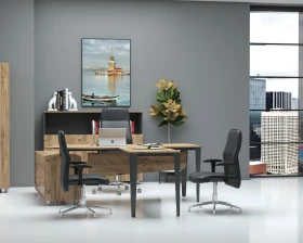 Кабинет руководителя Гиза руководитель images