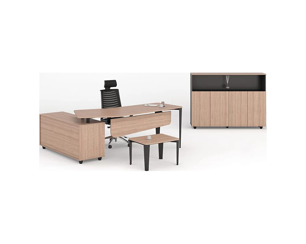 Кабинет руководителя Гиза руководитель