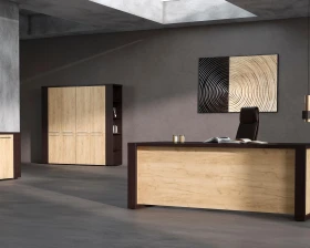 Кабинет руководителя Альто / Alto images