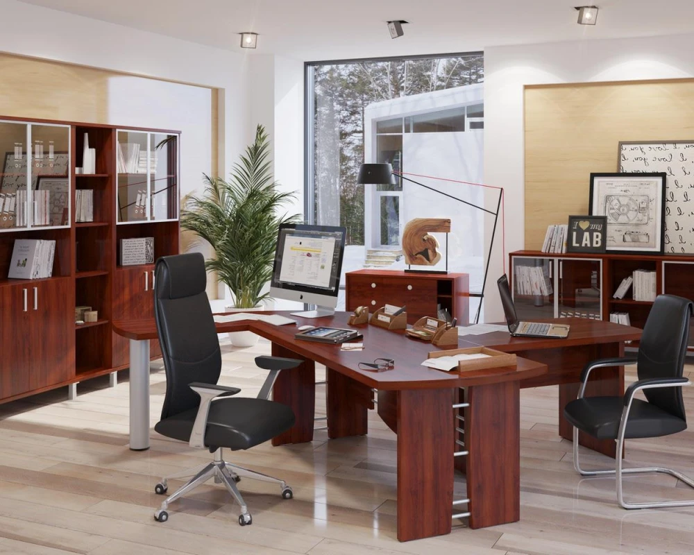 Кабинет руководителя Борн / Born TP