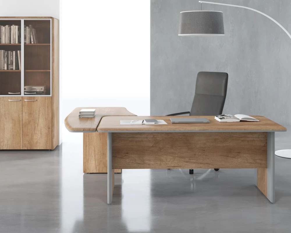 Кабинет руководителя Диони / Dioni