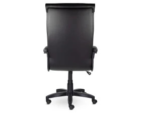 Кресло Бона В пластик-люкс images