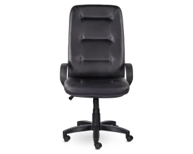 Кресло Идра В пластик-люкс images