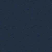 P2 EUROLINE 980 (серо-синий)